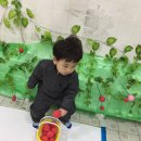 시형농장 이미지