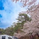 일박이일 B | 아기랑 카라반 캠핑, 양평 미리내카라반 B구역 BBQ 패키지 이용 후기