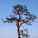 각남보건지소 이미지