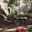 장승포항(지심도 도선) 이미지