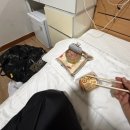 제주올림피아 | 2026파타고니아 제주국제트레일러닝 대회 - 36키로 참가 후기 (내돈내뛰) 부제:준비되지 않은자의 눈물