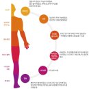 희망의 나래 이미지