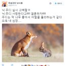 ☆주토피아★ 닉주디 사귀는 만화 이미지