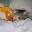 경주 감성숙소 스테이 서악 이미지