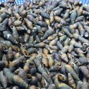 산내산천매운탕 이미지