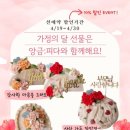 앙금피다 이미지
