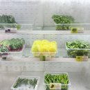 용산푸르지오파크타운경로당 | [서울 맛집] 신선한 쌈채소가 무한리필, 다채 동빈고점 불고기 쌈밥정식 솔직 후기