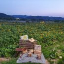 카페로컬팜 이미지