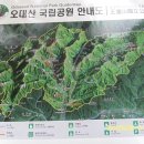 오대산 처녀 산행 (2013.06.06) 이미지