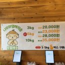 나무네농장 | 겨울 제주도에서만 즐길 수 있는 귤따기체험｜나무와 열매 체험농장 내돈내산