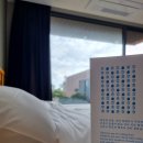 솜솜이네 | 제주 애견펜션 가성비와 퀄리티를 동시에 갖춘 솜솜이네