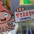 과일엔건어물