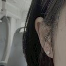 세희유치원 | 0801~0923