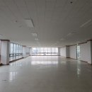 대전애견미용학원
