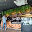 레이크포레스트&백운메밀 이미지