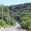 최씨농장 이미지