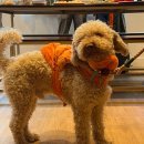 이불 왕 도매 | (런던에서) 밥찷여 10월