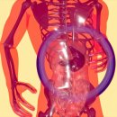 서울장편한내과의원 이미지