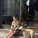 김용지 카카오 검색결과