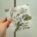 허니살롱 | [💌] 허니모어 청첩장 셀렉/수령 후기 낋여왔어요(라일라청첩장 후기)