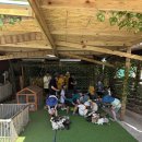 동산사슴목장 이미지