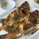 거제생선구이 | 거제 생선구이 문어볶음 맛집 함목밥집 내돈내산 후기