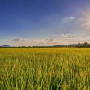 행복가득공인중개사사무소 이미지