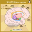 부부손한의원 이미지