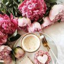 향기고운 이미지