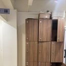 냥이싸롱 | 대전 고양이 카페 [냥이싸롱]/ 은행동 닌텐도, 보드게임 있는 고양이 카페