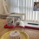 피울플라워 | 앙금플라워 케이크 창업반 후기 _ 정규과정 (1주차)