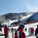 에이스의류 | 평창 휘닉스파크 스키강습 후기 키즈 전문 강사에 리프트권 할인 까지 가능한 에이스 렌탈샵