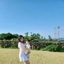 세모집_제주