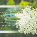 생명주러 오신 안상홍님,새언약 유월절│하나님의교회 세계복음선교협회 이미지