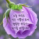 수심 30m 바다를 메운 울릉공항 활주로, 왜 파도에 안 무너질까? 이미지
