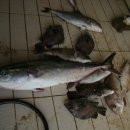 금이 낚시터 이미지