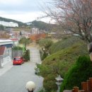 명륜자연유치원 이미지