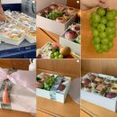 라.FRUTA | w. 상견례 답례품 준비 -바스켓 프루타 (동탄 과일 바구니)