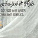 효성현대4차아파트 이미지