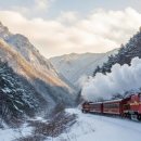 산골백두 | 백두대간협곡열차 예매방법 겨울시간표 노선 리얼후기