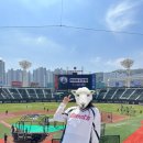 95 | 롯데 레드데이 바람막이 유니폼 받아온 후기｜사이즈 팁(95/105) &amp; 착장샷까지!