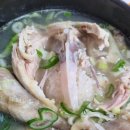 포항 금산삼계탕 이미지