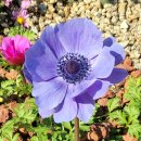 동백호수공원 이미지