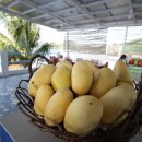 다이버마트 이미지