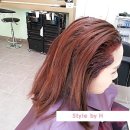 스타일바이에이치 이미지