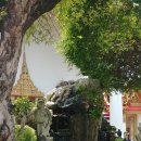 세븐교통대대로점 | 180508-2 태국방콕여행기 - 왓포,황금불상,산타크루즈성당,타누싱하베이커리,씨얌망고탱고,수완나폼공항...