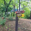 원 반려동물 미용실 이미지