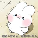영민옷수선 | 적어 내려 가는 위시리스트 뭐가 좋을 지 고민 하는 중이야