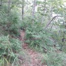 남산1리 이미지