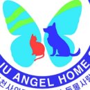 위드천사 이미지